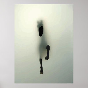 Paard dat door mist breekt poster
