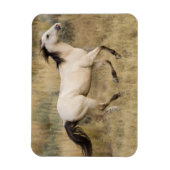 Paard dat door prairiegras loopt magneet (Verticaal)