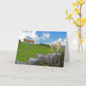 Paard dat graast in Ierland kaart (Gele Bloem)