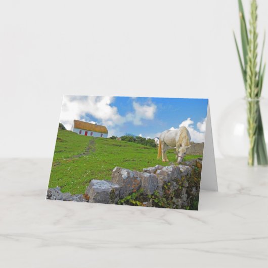 Paard dat graast in Ierland kaart (Voorkant)