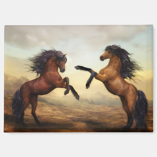 paard dat steigerend magneet (Voorkant)