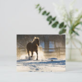Paard die door de sneeuw loopt briefkaart (Staand voorkant)