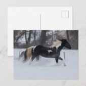 Paard die door de sneeuw loopt briefkaart (Voorkant / Achterkant)