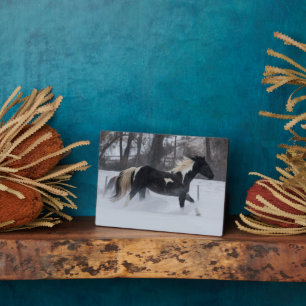 Paard die door de sneeuw loopt fotoplaat