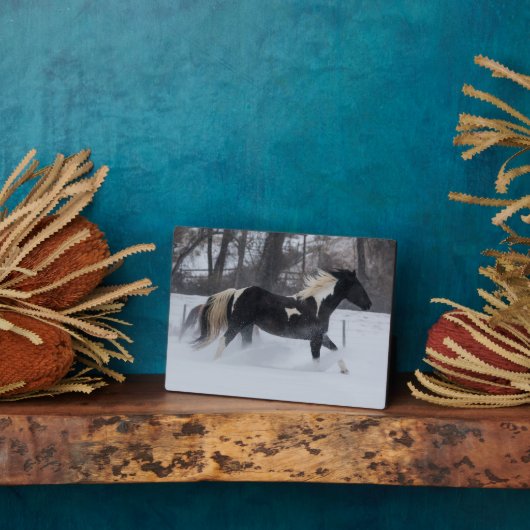 Paard die door de sneeuw loopt fotoplaat (Zijkant)