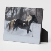 Paard die door de sneeuw loopt fotoplaat (Zijkant)