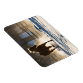 Paard die door de sneeuw loopt magneet (Rechterzijde)