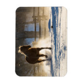 Paard die door de sneeuw loopt magneet (Verticaal)