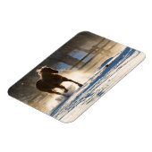 Paard die door de sneeuw loopt magneet (Linkerzijde)