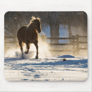 Paard die door de sneeuw loopt muismat