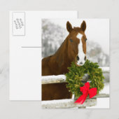 Paard die over omheining kijken briefkaart (Voorkant / Achterkant)