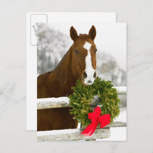 Paard die over omheining kijken briefkaart (Voorkant / Achterkant)