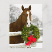 Paard die over omheining kijken briefkaart (Voorkant)