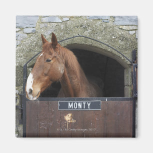 Paard die uit zijn stabiel kijkt magneet