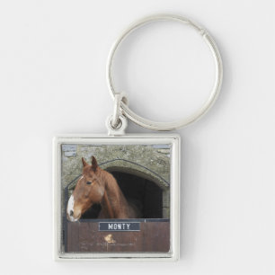 Paard die uit zijn stabiel kijkt sleutelhanger