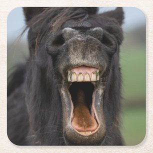 Paard die zijn tanden laat zien kartonnen onderzetters