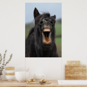 Paard die zijn tanden laat zien poster (Keuken)