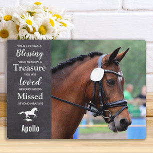 Paard Dier Herdenking Aangepaste Foto Herinnering Fotoplaat