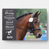 Paard Dier Herdenking Aangepaste Foto Herinnering Fotoplaat (voorkant)