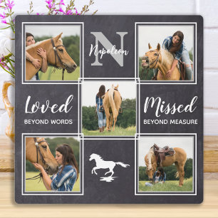 Paard Dier Herdenkingsfoto Collage Fotoplaat