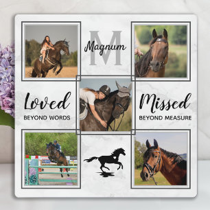 Paard Dier Herdenkingsfoto Collage Ter liefdevolle Fotoplaat
