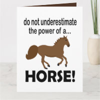 Paard Dier Schattig Grappig Paard