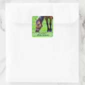 Paard "Dit boek is van ..." Sticker (Tas)