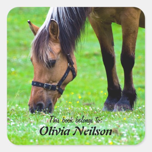 Paard "Dit boek is van ..." Sticker (Voorkant)