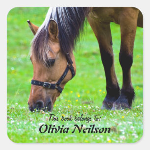 Paard "Dit boek is van ..." Sticker