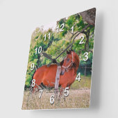 Paard door hek-muur-klok vierkante klok (Hoek)