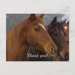 Paard Drie-eiige Drilling Bedankkaart Briefkaart