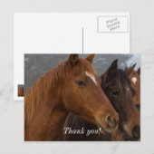 Paard Drie-eiige Drilling Bedankkaart Briefkaart (Voorkant / Achterkant)