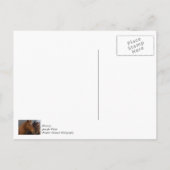 Paard Drie-eiige Drilling Bedankkaart Briefkaart (Achterkant)