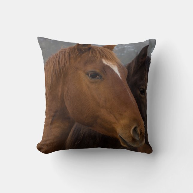 Paard Drie-eiigen Kussen (Voorkant)