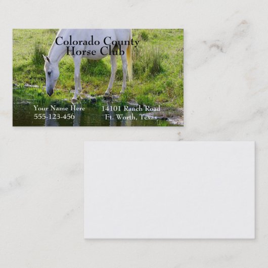 Paard Drink water fotoprint Visitekaartje (Voorkant / Achterkant)