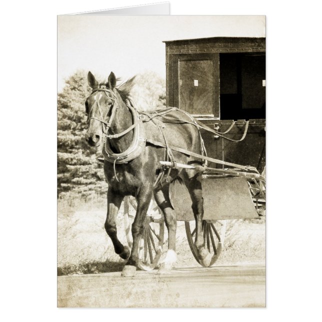 Paard en Buggy Sepia (Voorkant)
