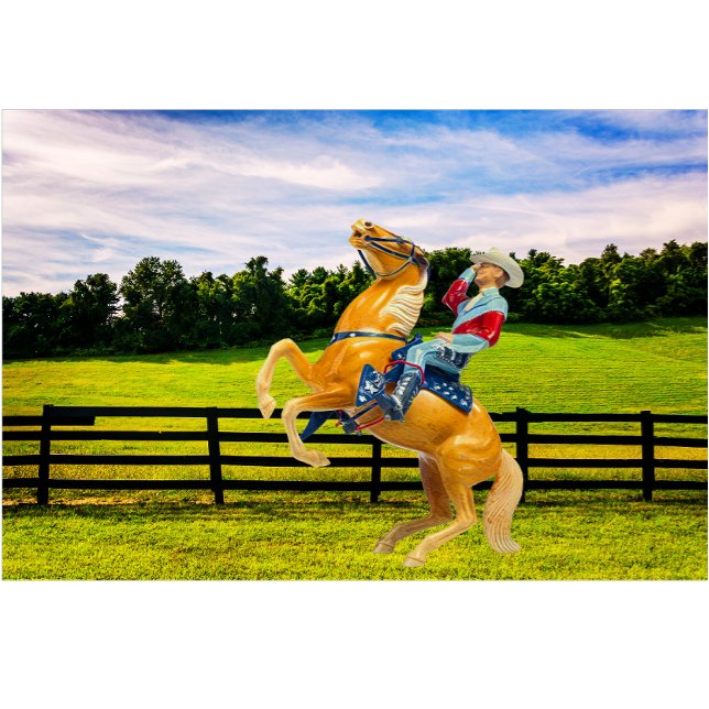 Paard en cowboy kussen (Creator heeft geüpload)