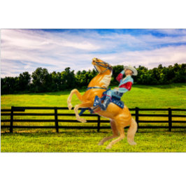 Paard en cowboy t-shirt