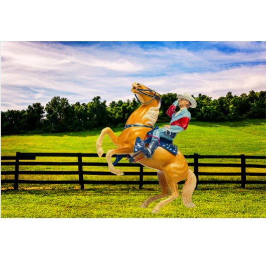 Paard en cowboy t-shirt