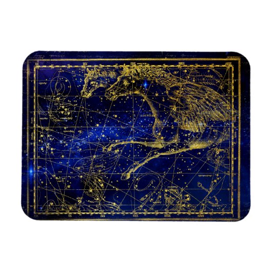 paard - en dolfijnconstellatie magnet magneet (Horizontaal)