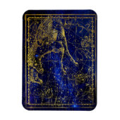 paard - en dolfijnconstellatie magnet magneet (Verticaal)