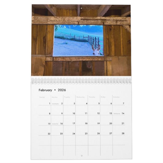 Paard en ezel kalender 2025 (Feb 2026)