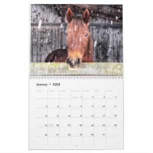 Paard en ezel kalender 2025