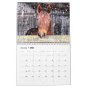 Paard en ezel kalender 2025 (Jan 2026)