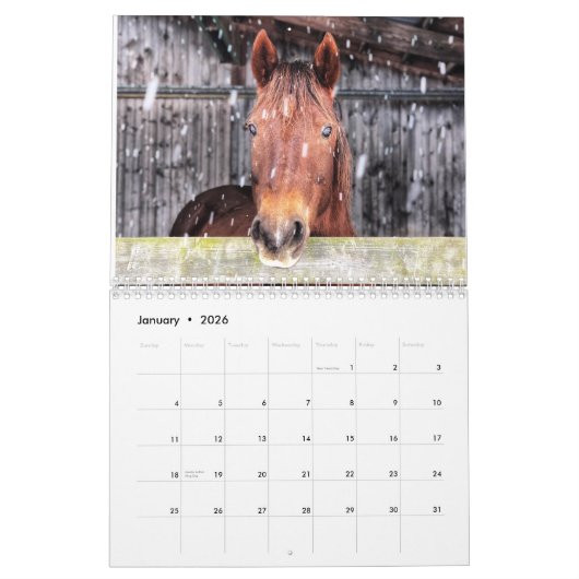 Paard en ezel kalender 2025 (Jan 2026)