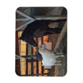 Paard en Geit op het Boerderij Magnet Magneet (Verticaal)