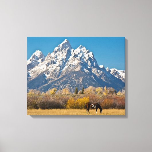 Paard en Grand Tetons, Moose Head Ranch Canvas Afdruk (Voorkant)
