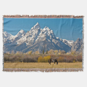 Paard en Grand Tetons, Moose Head Ranch Deken