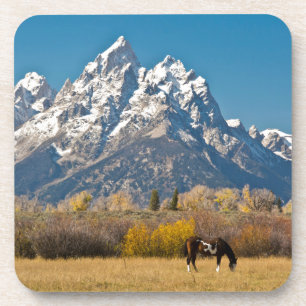 Paard en Grand Tetons, Moose Head Ranch Drankjes Onderzetter