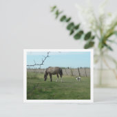 paard en hond briefkaart (Staand voorkant)